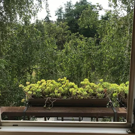 Appartement Centre